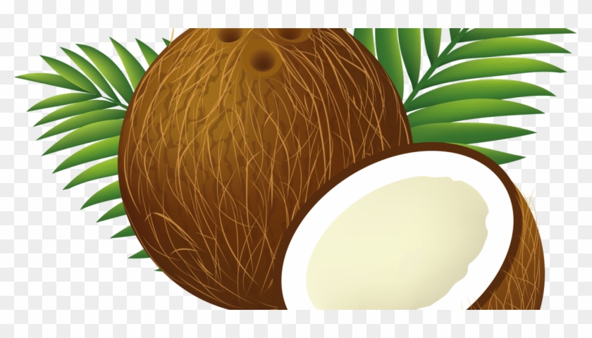 Are Coconut Products Bad For The Environment - Coconut Clipart Transparent #883064