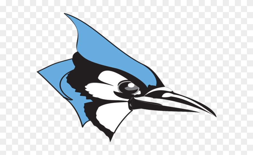 The Bluegrass Mountain Conference Coach Of The Year - Johns Hopkins Blue Jays #883184