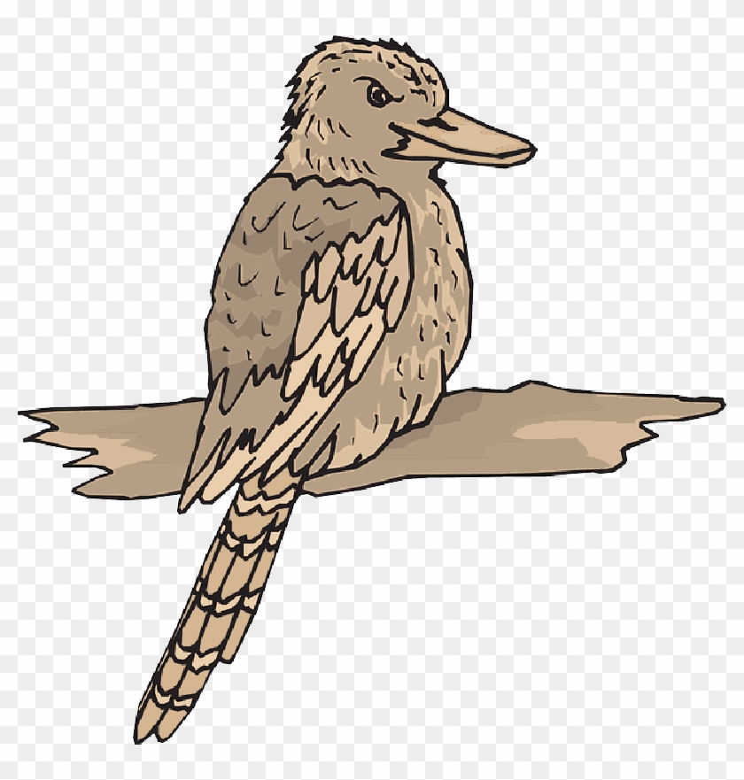 Bird, Wood, Wings, Animal, Beak, Feathers, Kookaburra - Australia Kookaburra Clipart Free #883401