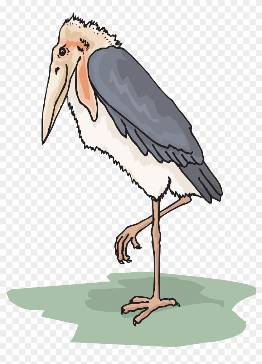 Bird Wings Stork Feathers Png Image - Marabou Stork Clipart #883445