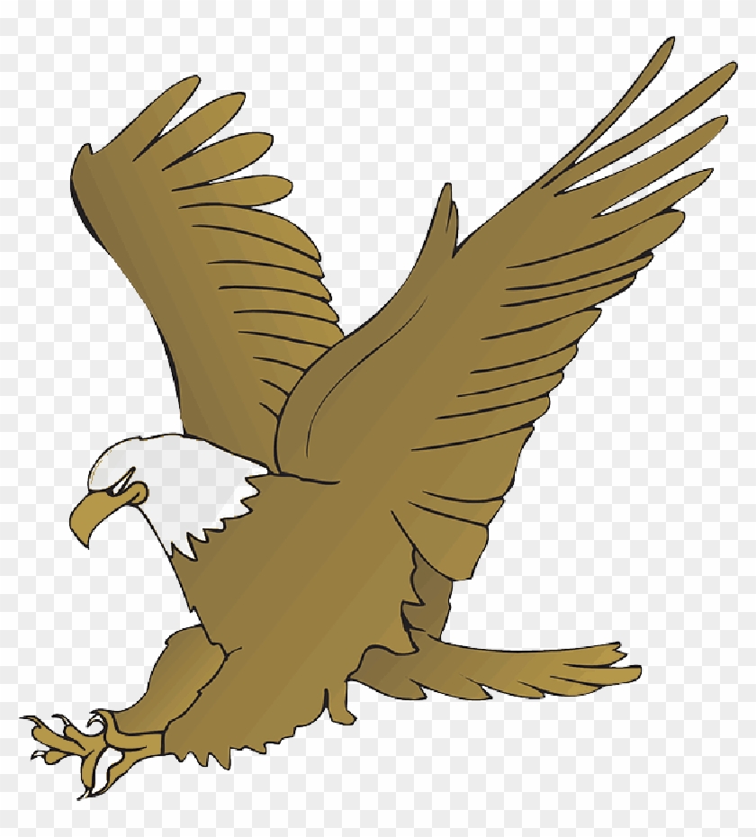 Eagle, Wings, Animal, Beak, Claws, Hunting, Feathers - Animated Pictures Of Eagle #883472