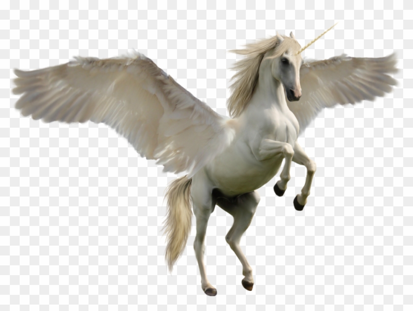 Winged Unicorn By Discoverie - Real Unicorn Png #883486