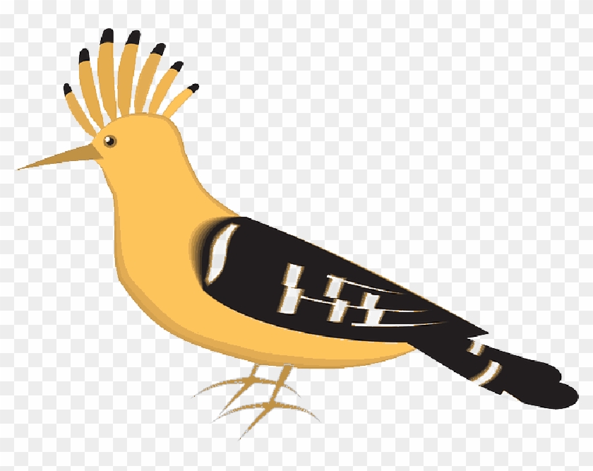Bird, Wings, Animal, Feathers, Species - Hoopoe Clipart #883520