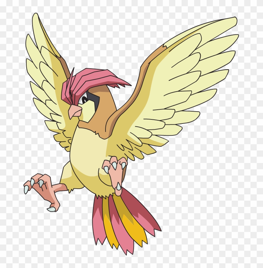 Pidgeotto - Pokemon Pidgeotto #883566