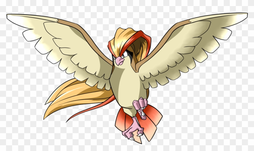 Pidgeot By Pr0xis0ul - Intimidates With Wings Pokemon #883569