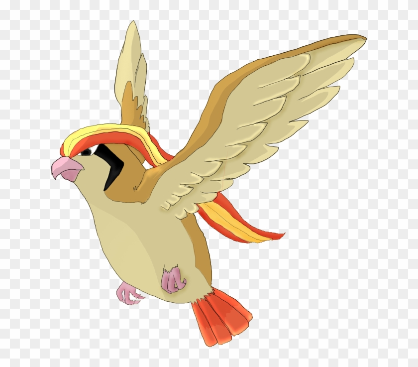 Pidgeot No Bg By Howlingsoulwolf-d799qhv - Macaw #883593