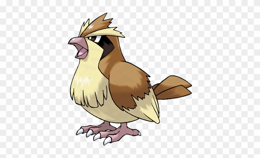 Pidgey - Pidgey Png #883623