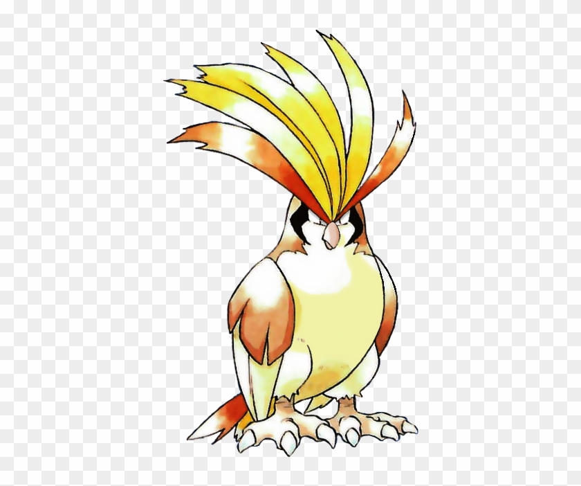 Pidgeot By Meowmatsu - Pidgey Pokemon Rojo Fuego - Free Transparent PNG  Clipart Images Download