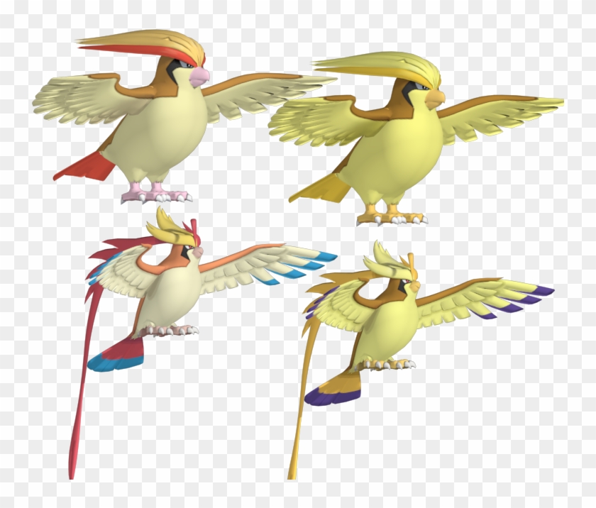 Download Zip Archive - Mega Pidgeot X And Y #883631