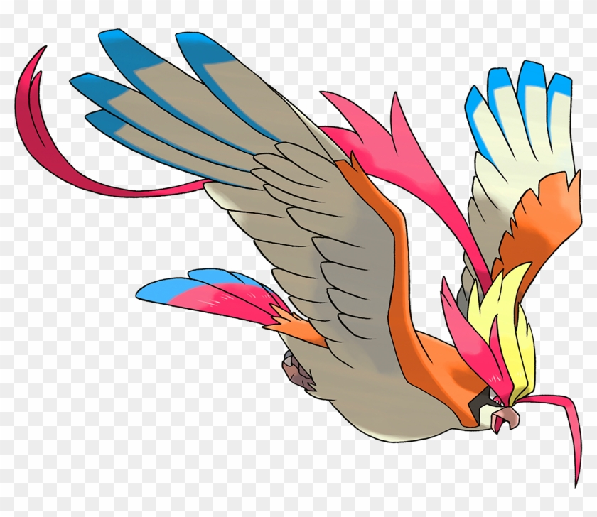 10018 Shiny Mega Pidgeot - Mega Pigeot #883689