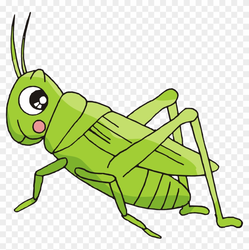 Cartoon Bush Crickets Insect - Crickets Cartoon - Free Transparent PNG  Clipart Images Download