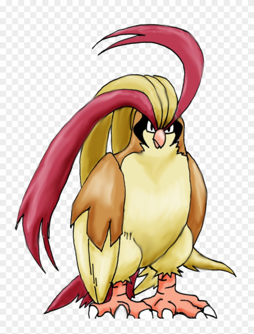 Ho Oh The Pidgeot By Apricots From Nara - Cartoon #883706