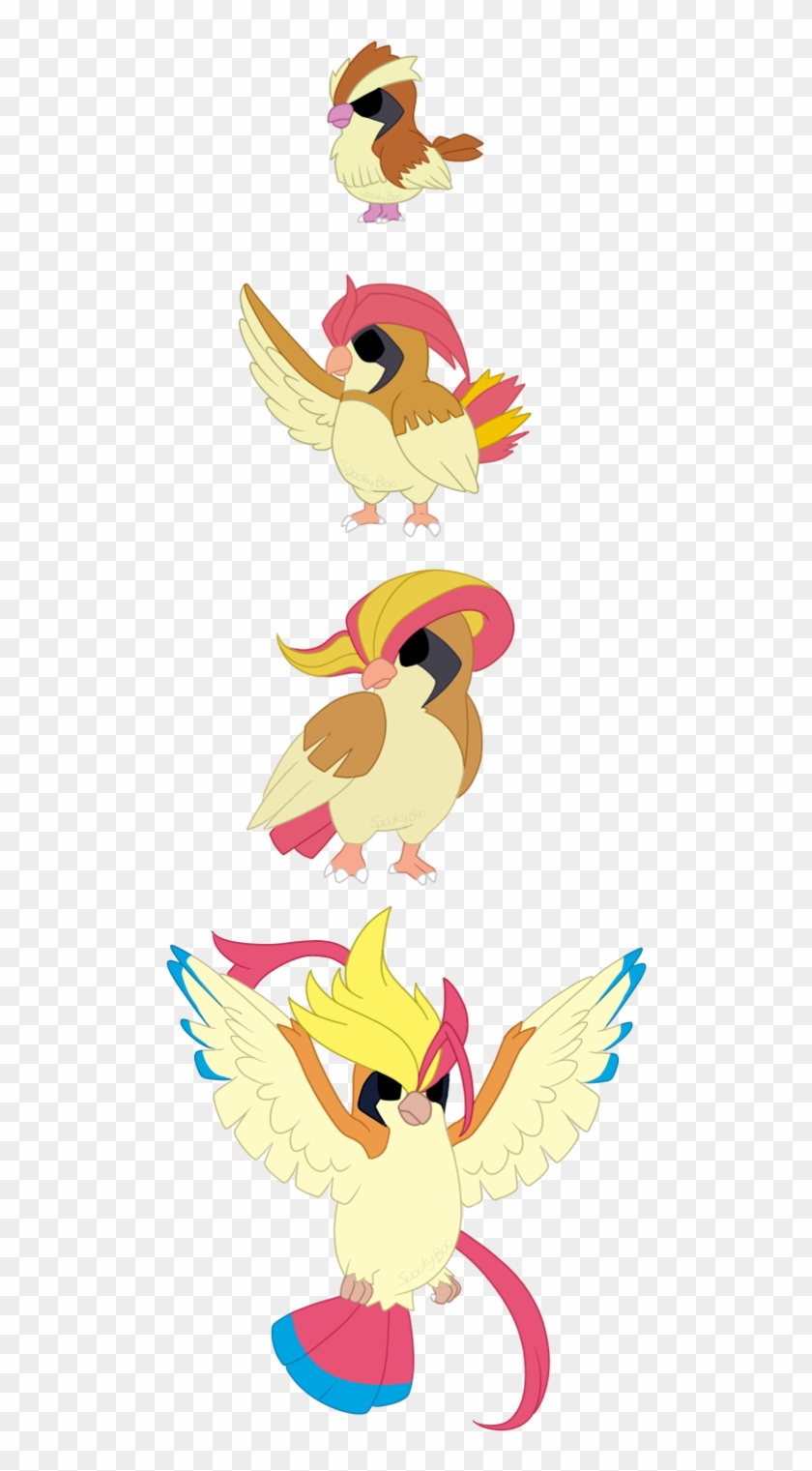 Pidgy, Pidgeotto, Mega/pidgeot By X Spookyboo X - Pidgeot #883740