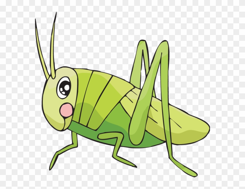 Cricket Insect Drawing Easy To Draw Cricket Free Transparent Png Clipart Images Download