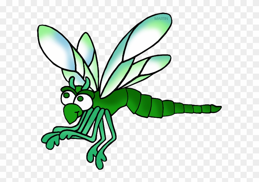 Green Darner Dragonfly - Green Darner Dragonfly #883774