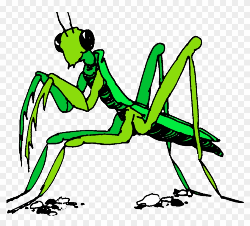 Praying Mantis Clipart Stick Insect - Praying Mantis Clip Art #883825