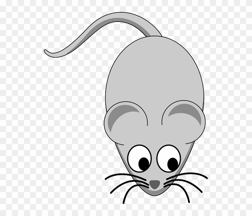 Mouse Clipart Pet - Free Clip Art Mouse #883834
