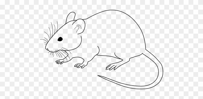 Mice Clipart Black N White - Mouse Black And White #883837