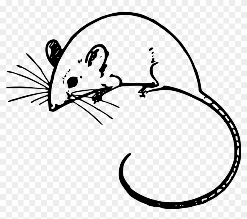 Mouse Clipart Black And White - Mouse Clipart Transparent #883839