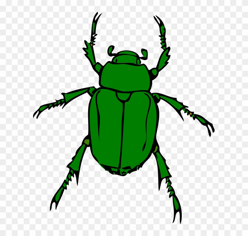 Insect Cliparts 23, Buy Clip Art - Beetle Bug #883863