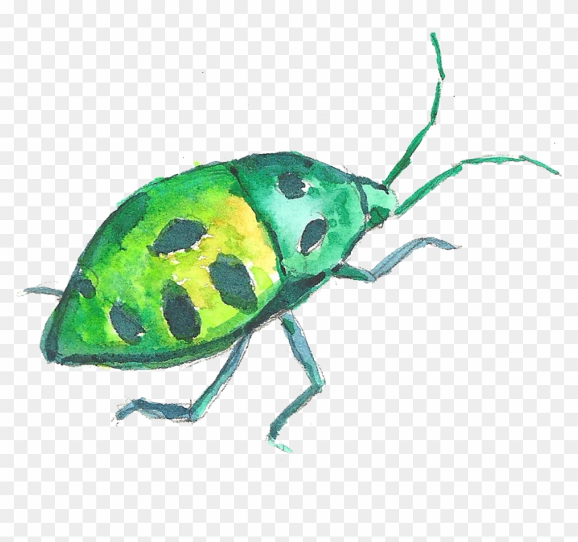 Volkswagen Beetle Watercolor Painting - Leaf Beetle #883881