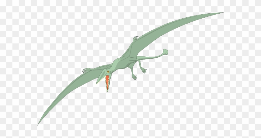 Dinosaur #883998