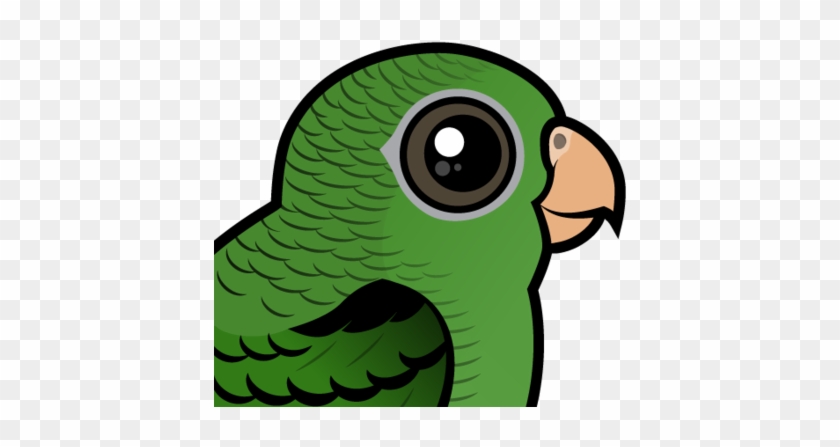 Parakeet Clipart Transparent - Birdorable Ratternlory Grußkarte #884141