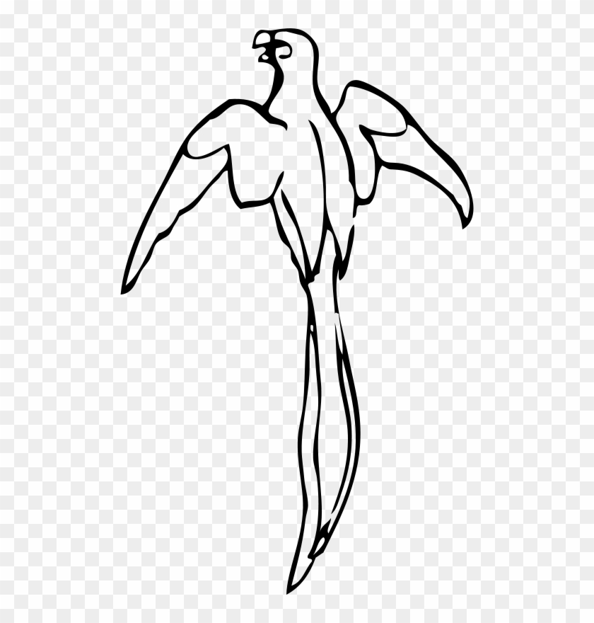 Clip Art Tags - Outline Of A Parrot #884149
