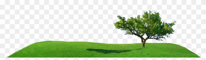 Find Your Balance - Oak #884676