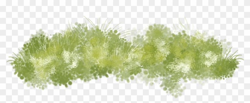 Seaweed Clipart Grass Land - 草叢 素材 #884718