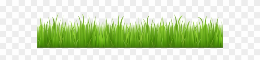 Download Free "grass Clipart 1" Png Photo, Images And - Download Free "grass Clipart 1" Png Photo, Images And #884725