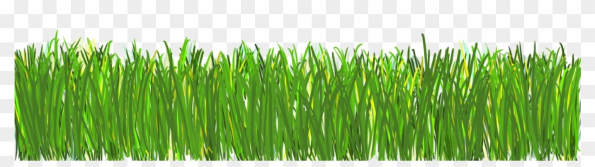 Grass Png - Png #884749