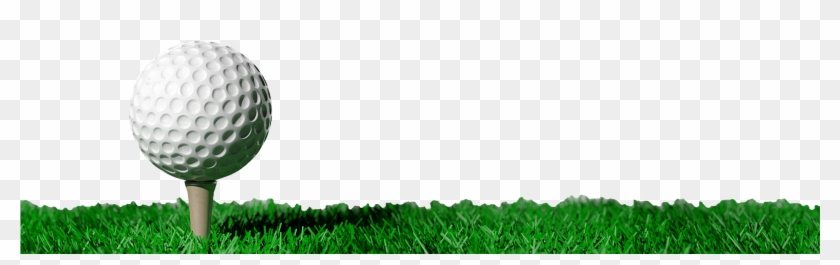 Online Donations - Lawn #884753