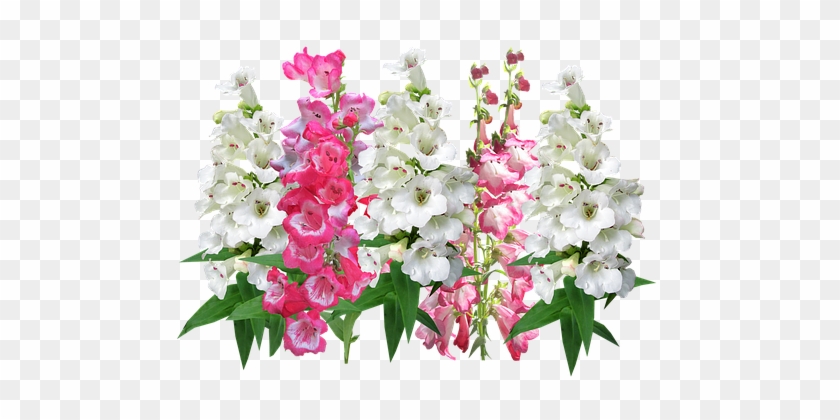 Floral, Flower, Flora, Bouquet, Decoration - Flower #884754