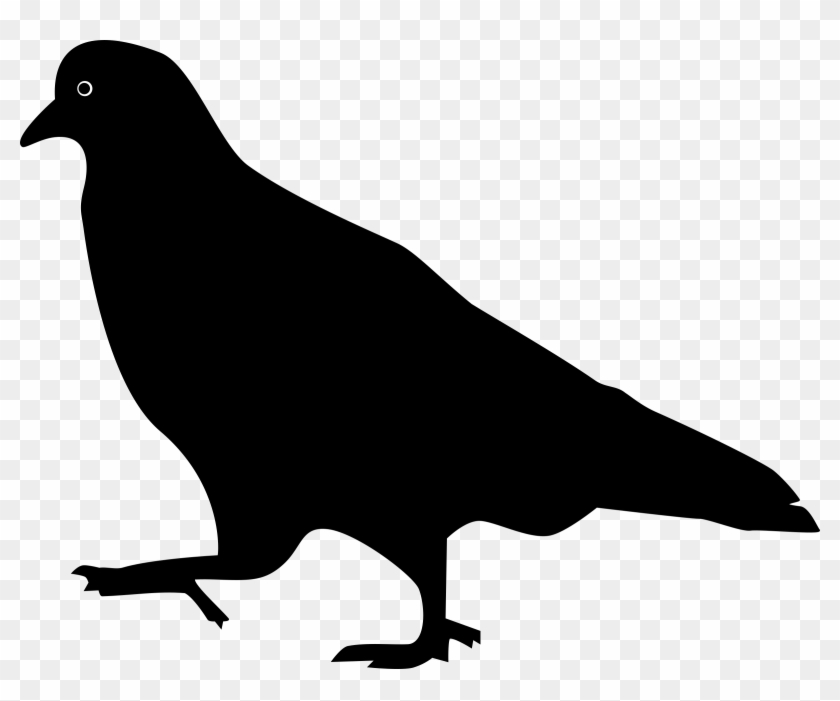 Download - Pigeon Silhouette #884807