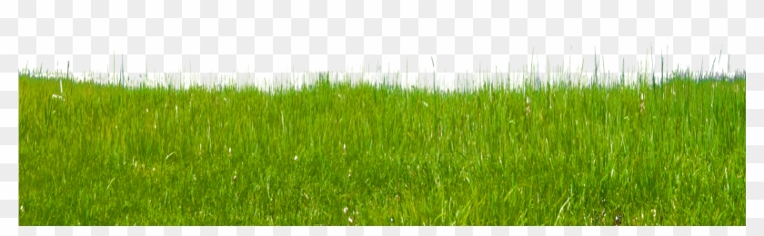 Grass On Hillside Stock Photo 0171 Png By Annamae22 - Stock Photography #884811