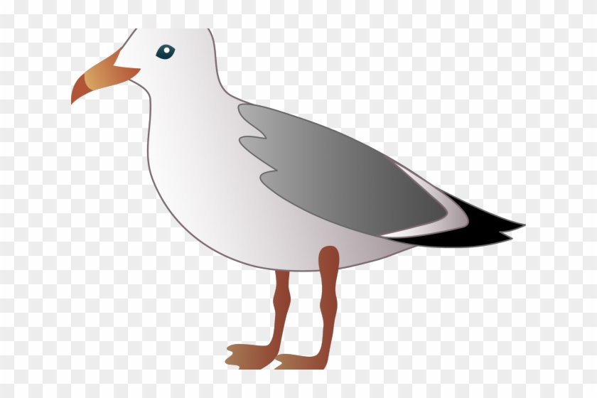 Seagull Clipart Post Clipart - Seagull Clipart #884892