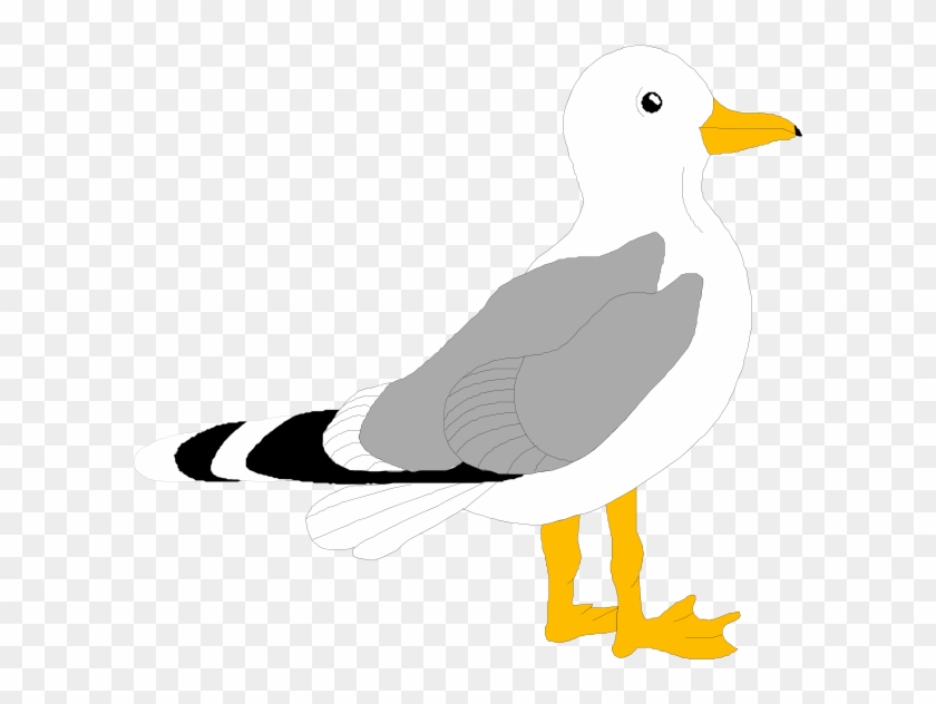 Seagull Craft Template - Seagull Clipart #884893