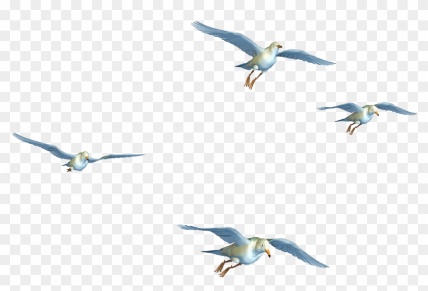Flying Birds 01 Png Stock By Roy3d - Flying Birds Png Hd #884930