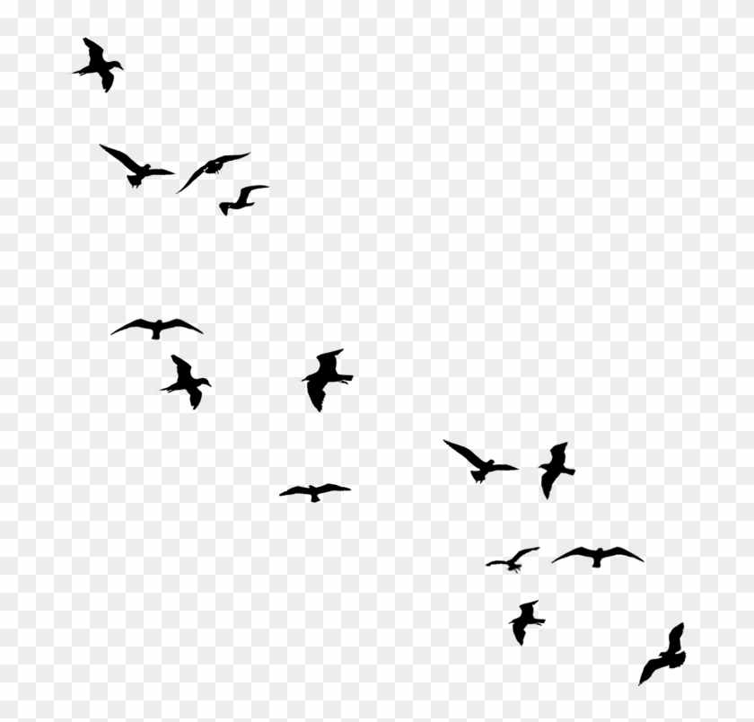 Drawn Bird Flight Silhouette Clip Art - Birds In The Distance Drawing #884968