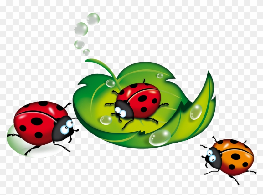 Love Bugs, Animal Drawings, Tube, Smileys, Ants, Insects, - Божья Коровка На Прозрачном Фоне #885128