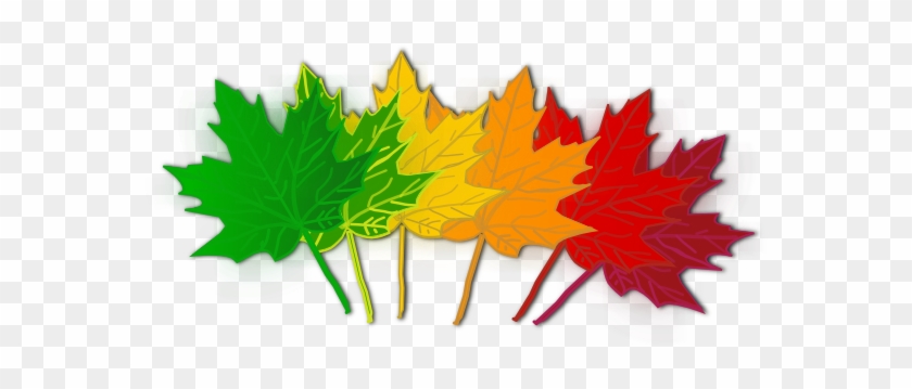 Leaves Changing Color Clipart #885303