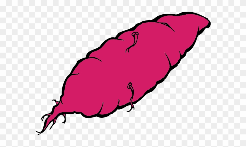 Yam Vector Clip Art - Yam Vector Clip Art #885330
