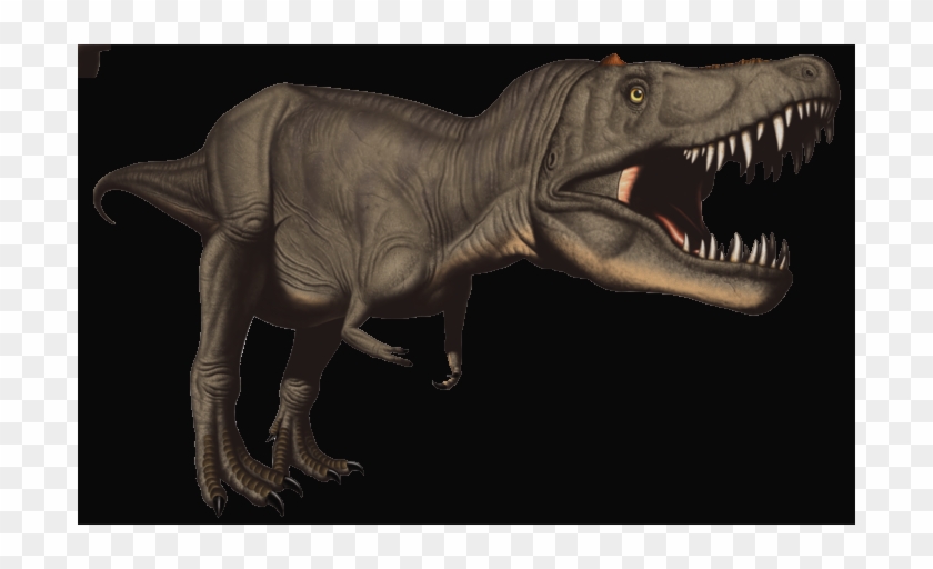 Tyrannosaurus #886064