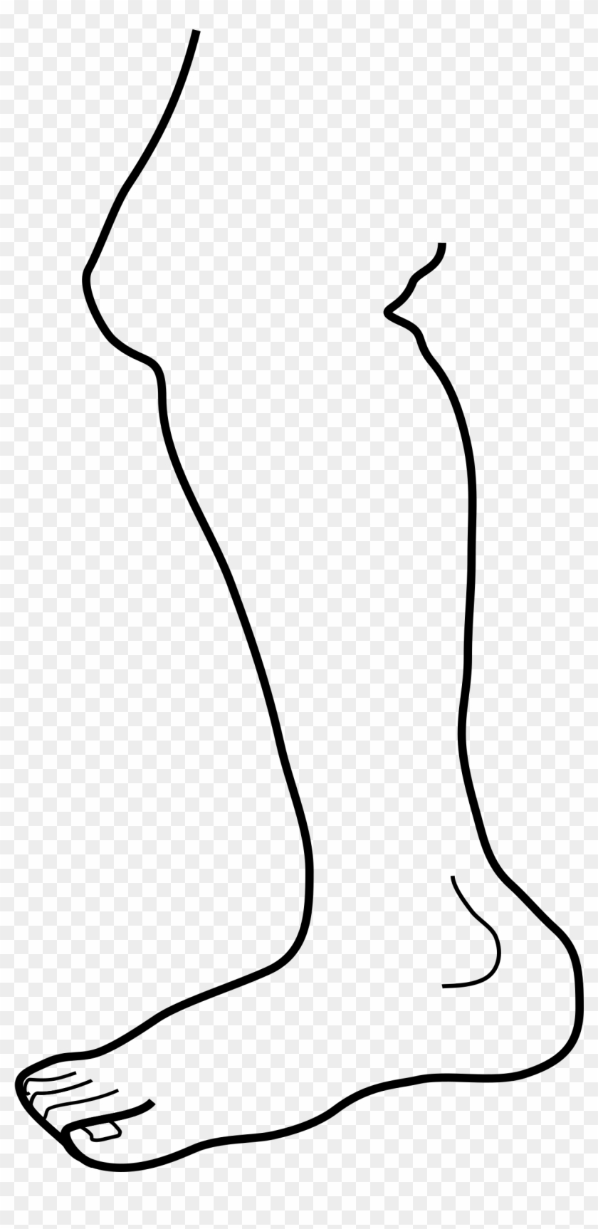 Clipart Of Leg - Leg Clip Art #886254