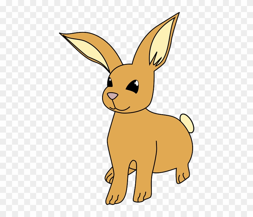 Brown, Happy, Cartoon, Bunny, Animal, Mammal - Animal Clip Art #886334