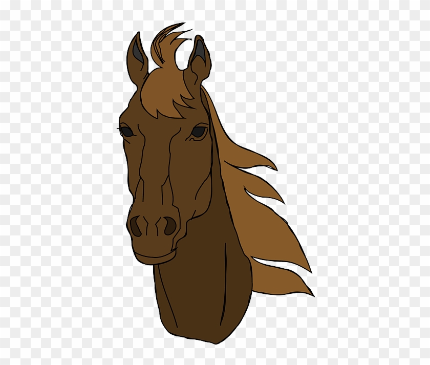 Animals, Head, Face, Horse, Mammals, Horses, Mammal - Horse Head Clip Art #886339