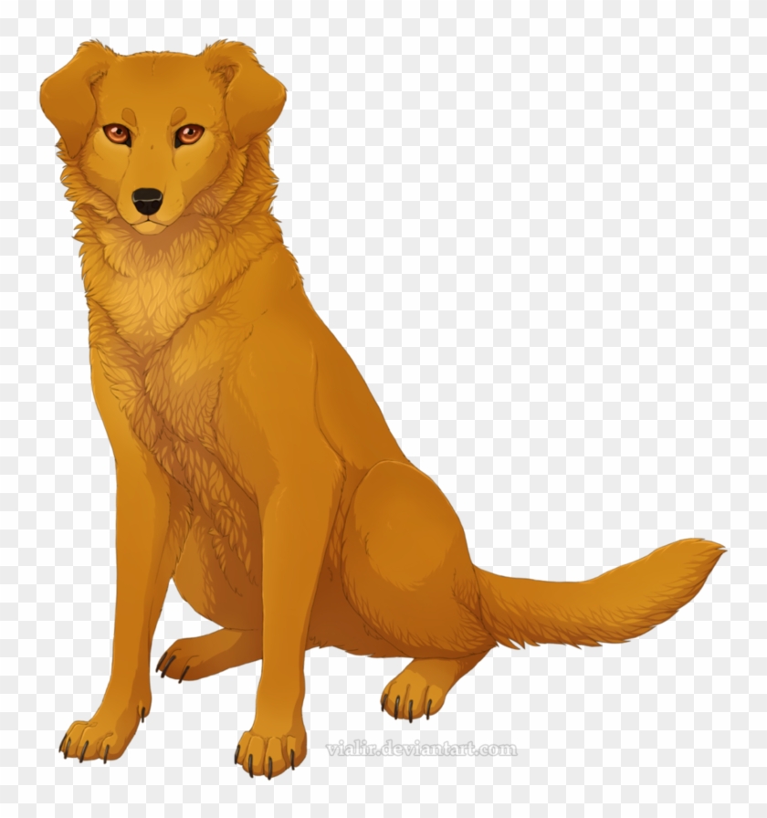 Lucky From Books "survivors\ - Survivors Erin Hunter Lucky #886359