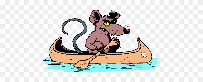 Coloured Cartoon Of Irate Rat Paddling A Canoe - Rat In A Boat #887078