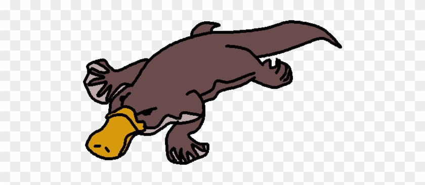 Platypus Clipart Free Images - Platypus Clipart #887125